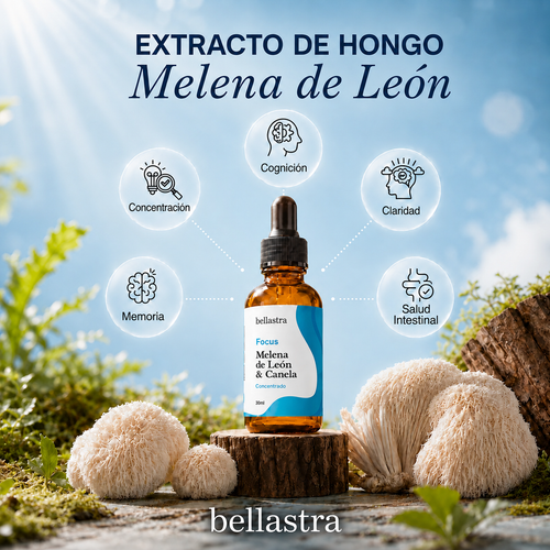 Focus | Extracto de Melena de León