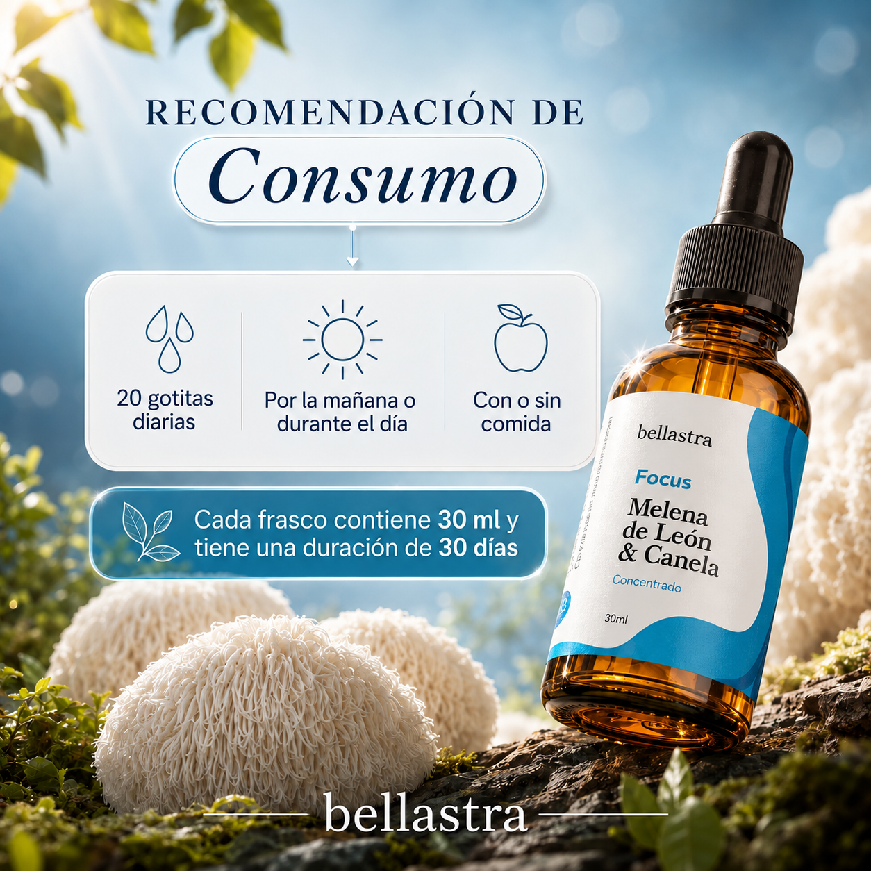 Focus | Extracto de Melena de León