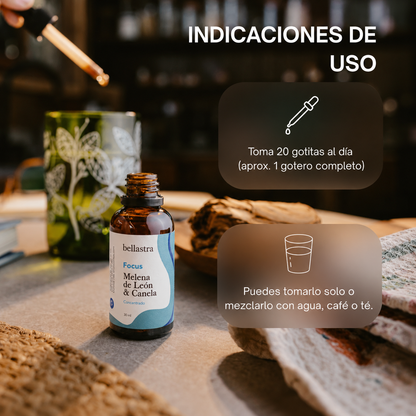 Focus | Extracto de Melena de León